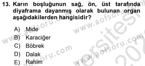 Temel Veteriner Anatomi Dersi 2021 - 2022 Yılı (Vize) Ara Sınav Soruları 13. Soru