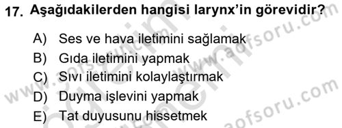 Temel Veteriner Anatomi Dersi 2021 - 2022 Yılı (Vize) Ara Sınav Soruları 17. Soru