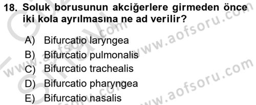 Temel Veteriner Anatomi Dersi 2021 - 2022 Yılı (Vize) Ara Sınavı 18. Soru