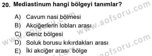 Temel Veteriner Anatomi Dersi 2021 - 2022 Yılı (Vize) Ara Sınavı 20. Soru