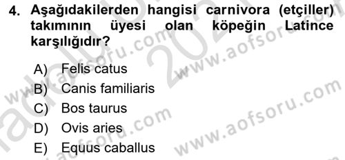 Temel Veteriner Anatomi Dersi Ara Sınavı Deneme Sınav Soruları 4. Soru