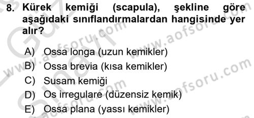 Temel Veteriner Anatomi Dersi 2021 - 2022 Yılı (Vize) Ara Sınav Soruları 8. Soru