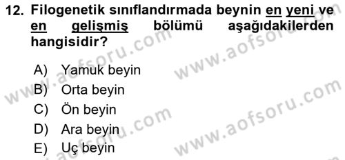 Temel Veteriner Anatomi Dersi 2021 - 2022 Yılı (Final) Dönem Sonu Sınav Soruları 12. Soru
