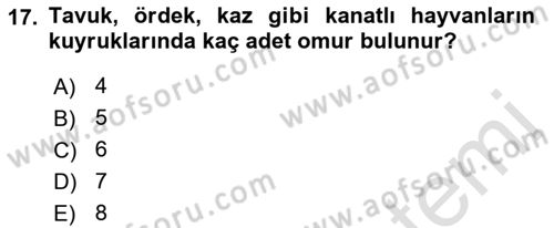 Temel Veteriner Anatomi Dersi 2021 - 2022 Yılı (Final) Dönem Sonu Sınav Soruları 17. Soru