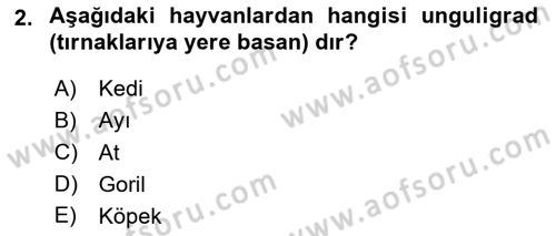 Temel Veteriner Anatomi Dersi 2021 - 2022 Yılı (Final) Dönem Sonu Sınav Soruları 2. Soru