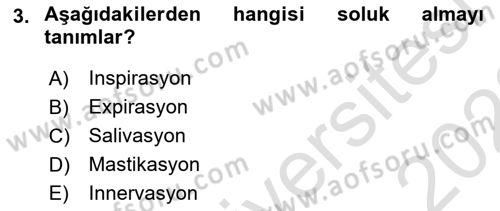 Temel Veteriner Anatomi Dersi 2021 - 2022 Yılı (Final) Dönem Sonu Sınav Soruları 3. Soru