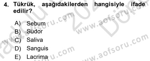 Temel Veteriner Anatomi Dersi 2021 - 2022 Yılı (Final) Dönem Sonu Sınav Soruları 4. Soru