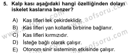 Temel Veteriner Anatomi Dersi 2021 - 2022 Yılı (Final) Dönem Sonu Sınav Soruları 5. Soru