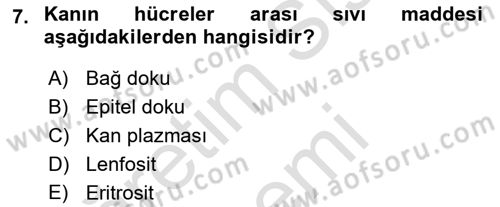 Temel Veteriner Anatomi Dersi 2021 - 2022 Yılı (Final) Dönem Sonu Sınav Soruları 7. Soru
