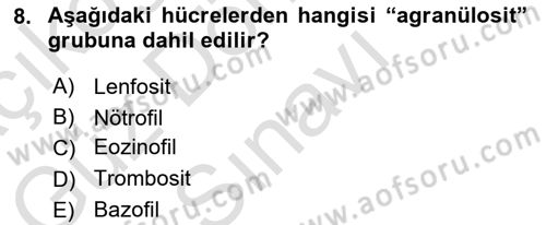 Temel Veteriner Anatomi Dersi 2021 - 2022 Yılı (Final) Dönem Sonu Sınav Soruları 8. Soru
