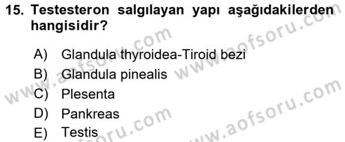 Temel Veteriner Anatomi Dersi 2021 - 2022 Yılı Yaz Okulu Sınav Soruları 15. Soru