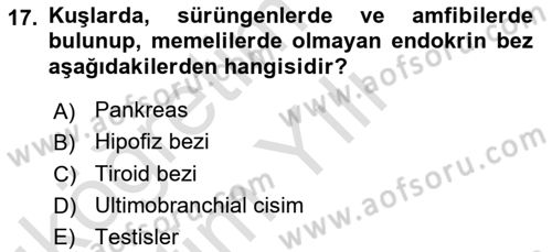 Temel Veteriner Anatomi Dersi 2021 - 2022 Yılı Yaz Okulu Sınavı 17. Soru