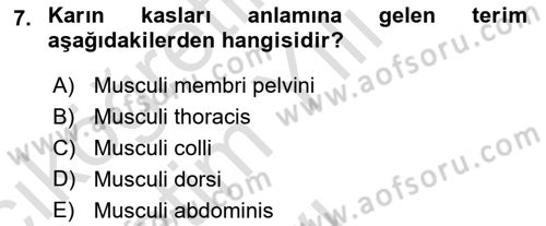 Temel Veteriner Anatomi Dersi 2021 - 2022 Yılı Yaz Okulu Sınavı 7. Soru