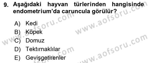 Temel Veteriner Anatomi Dersi 2021 - 2022 Yılı Yaz Okulu Sınavı 9. Soru