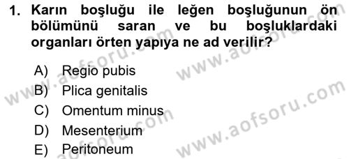 Temel Veteriner Anatomi Dersi 2022 - 2023 Yılı (Vize) Ara Sınav Soruları 1. Soru