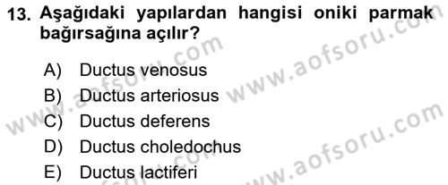 Temel Veteriner Anatomi Dersi 2022 - 2023 Yılı (Vize) Ara Sınav Soruları 13. Soru