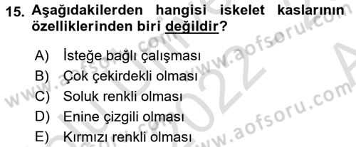 Temel Veteriner Anatomi Dersi 2022 - 2023 Yılı (Vize) Ara Sınav Soruları 15. Soru