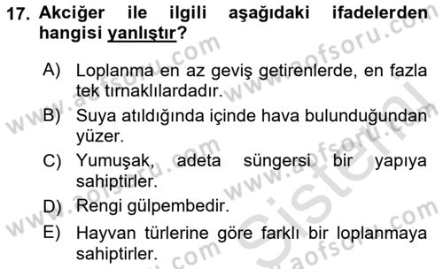 Temel Veteriner Anatomi Dersi 2022 - 2023 Yılı (Vize) Ara Sınavı 17. Soru