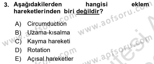 Temel Veteriner Anatomi Dersi 2022 - 2023 Yılı (Vize) Ara Sınav Soruları 3. Soru
