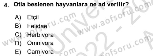 Temel Veteriner Anatomi Dersi Ara Sınavı Deneme Sınav Soruları 4. Soru