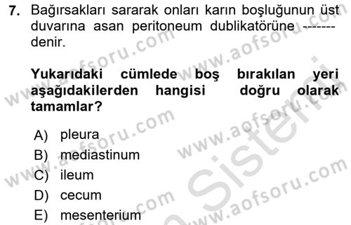 Temel Veteriner Anatomi Dersi Ara Sınavı Deneme Sınav Soruları 7. Soru