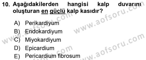 Temel Veteriner Anatomi Dersi 2022 - 2023 Yılı (Final) Dönem Sonu Sınav Soruları 10. Soru