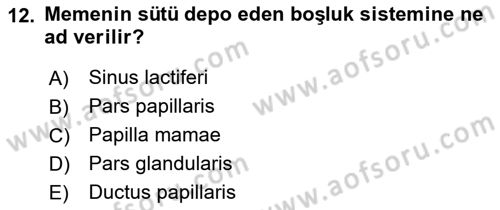 Temel Veteriner Anatomi Dersi 2022 - 2023 Yılı (Final) Dönem Sonu Sınav Soruları 12. Soru