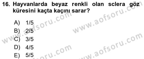 Temel Veteriner Anatomi Dersi 2022 - 2023 Yılı (Final) Dönem Sonu Sınav Soruları 16. Soru