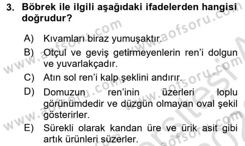 Temel Veteriner Anatomi Dersi 2022 - 2023 Yılı (Final) Dönem Sonu Sınav Soruları 3. Soru