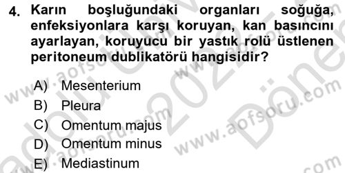 Temel Veteriner Anatomi Dersi 2022 - 2023 Yılı (Final) Dönem Sonu Sınav Soruları 4. Soru