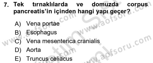 Temel Veteriner Anatomi Dersi 2022 - 2023 Yılı (Final) Dönem Sonu Sınav Soruları 7. Soru