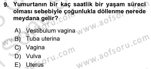 Temel Veteriner Anatomi Dersi 2022 - 2023 Yılı (Final) Dönem Sonu Sınav Soruları 9. Soru