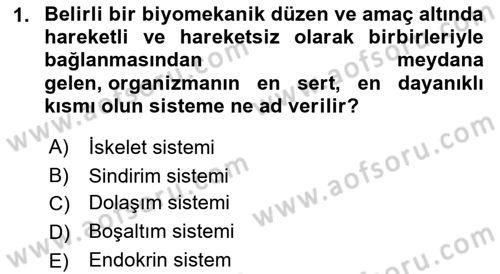 Temel Veteriner Anatomi Dersi 2022 - 2023 Yılı Yaz Okulu Sınavı 1. Soru