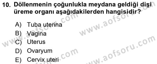 Temel Veteriner Anatomi Dersi 2022 - 2023 Yılı Yaz Okulu Sınav Soruları 10. Soru