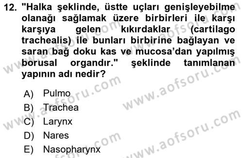 Temel Veteriner Anatomi Dersi 2022 - 2023 Yılı Yaz Okulu Sınav Soruları 12. Soru