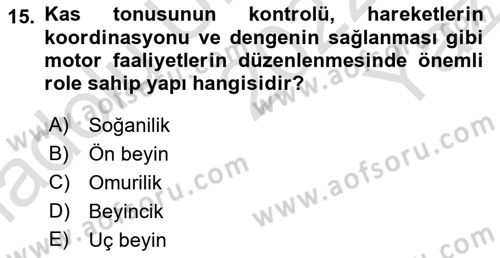 Temel Veteriner Anatomi Dersi 2022 - 2023 Yılı Yaz Okulu Sınav Soruları 15. Soru