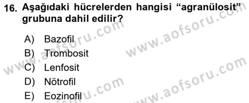 Temel Veteriner Anatomi Dersi 2022 - 2023 Yılı Yaz Okulu Sınavı 16. Soru