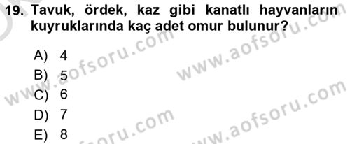 Temel Veteriner Anatomi Dersi 2022 - 2023 Yılı Yaz Okulu Sınavı 19. Soru