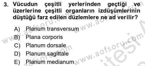 Temel Veteriner Anatomi Dersi 2022 - 2023 Yılı Yaz Okulu Sınav Soruları 3. Soru
