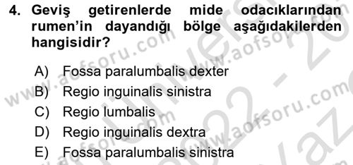 Temel Veteriner Anatomi Dersi 2022 - 2023 Yılı Yaz Okulu Sınavı 4. Soru