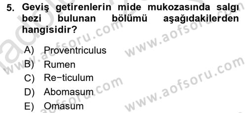 Temel Veteriner Anatomi Dersi 2022 - 2023 Yılı Yaz Okulu Sınavı 5. Soru