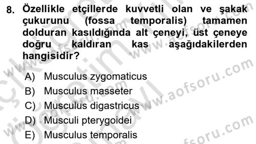 Temel Veteriner Anatomi Dersi 2022 - 2023 Yılı Yaz Okulu Sınav Soruları 8. Soru