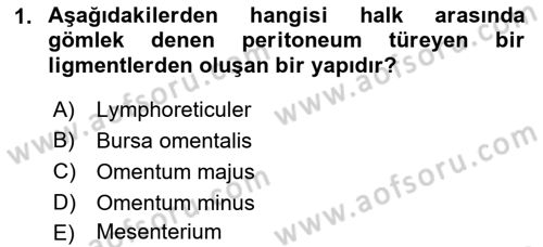Temel Veteriner Anatomi Dersi Ara Sınavı Deneme Sınav Soruları 1. Soru