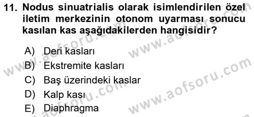 Temel Veteriner Anatomi Dersi 2023 - 2024 Yılı (Vize) Ara Sınav Soruları 11. Soru