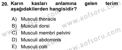 Temel Veteriner Anatomi Dersi 2023 - 2024 Yılı (Vize) Ara Sınav Soruları 20. Soru