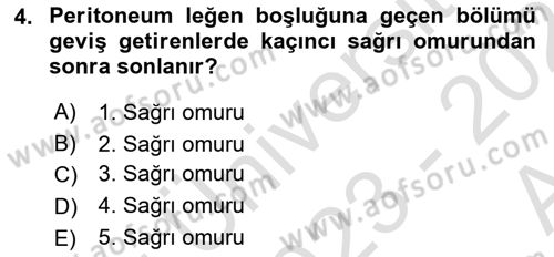 Temel Veteriner Anatomi Dersi Ara Sınavı Deneme Sınav Soruları 4. Soru