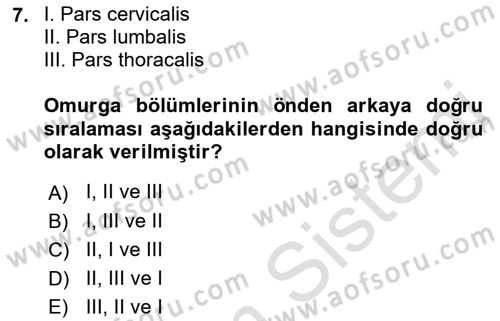 Temel Veteriner Anatomi Dersi Ara Sınavı Deneme Sınav Soruları 7. Soru