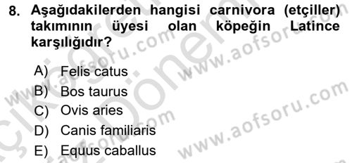 Temel Veteriner Anatomi Dersi 2023 - 2024 Yılı (Vize) Ara Sınav Soruları 8. Soru