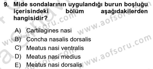 Temel Veteriner Anatomi Dersi Ara Sınavı Deneme Sınav Soruları 9. Soru