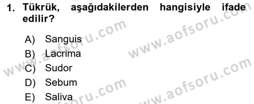 Temel Veteriner Anatomi Dersi 2023 - 2024 Yılı (Final) Dönem Sonu Sınav Soruları 1. Soru